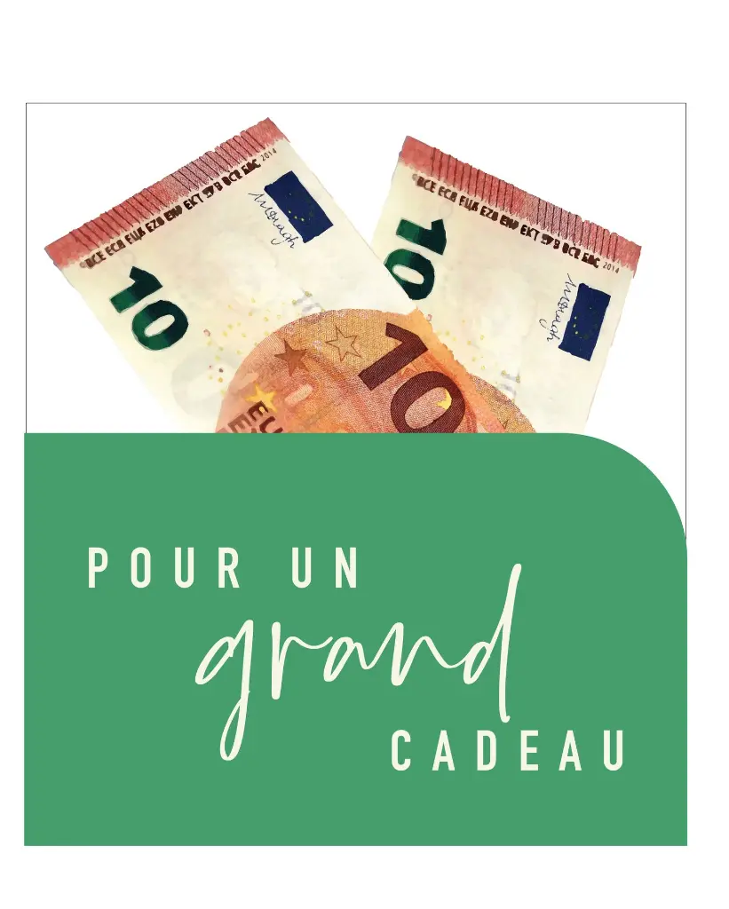 MOF332 MONEY binnen 2026.webp