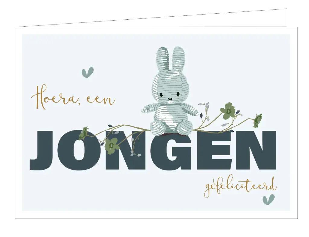 Hoera, een jongen