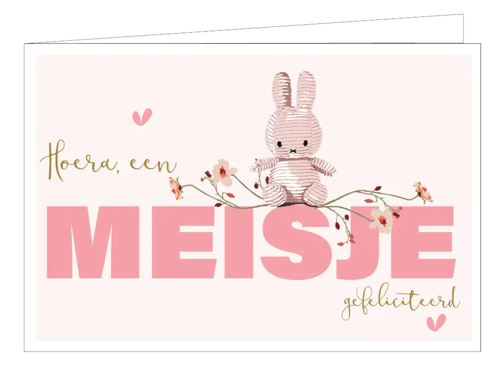 Hoera, een meisje