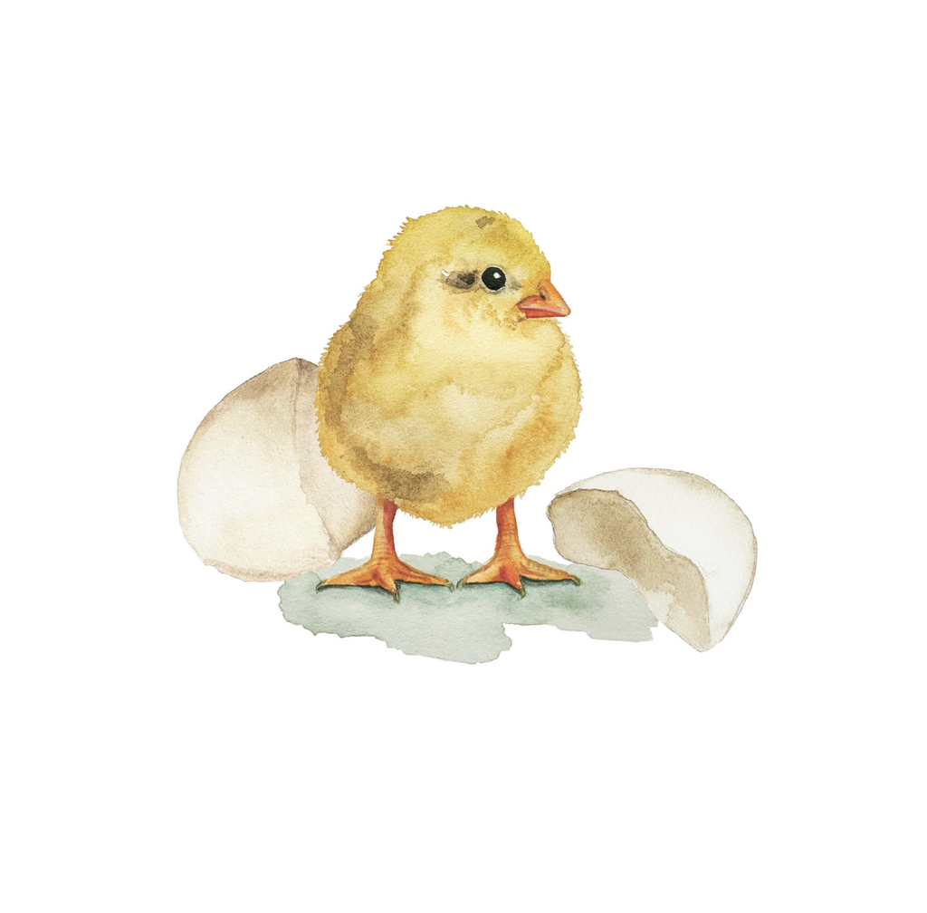 blanco