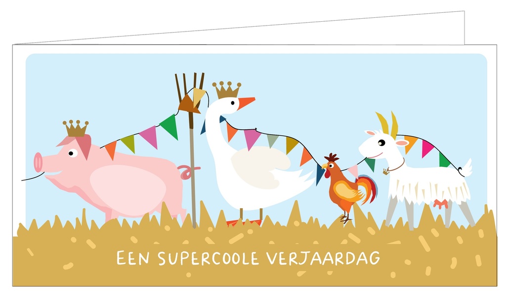 Een supercoole verjaardag