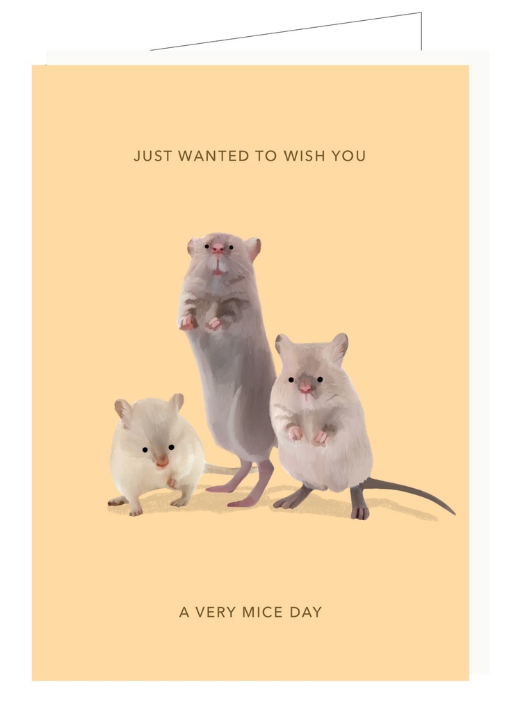 Just wanted to wish you a very mice day