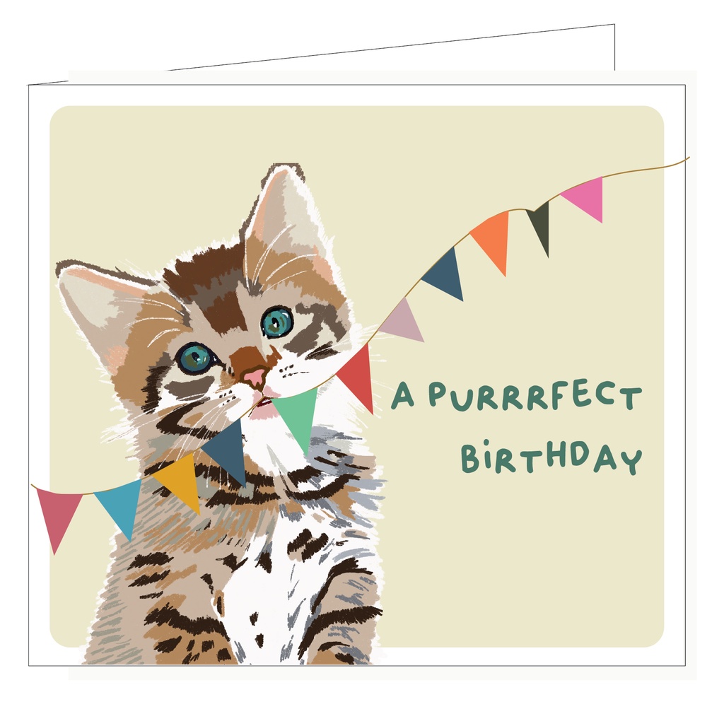 A purrrrrfect birthday