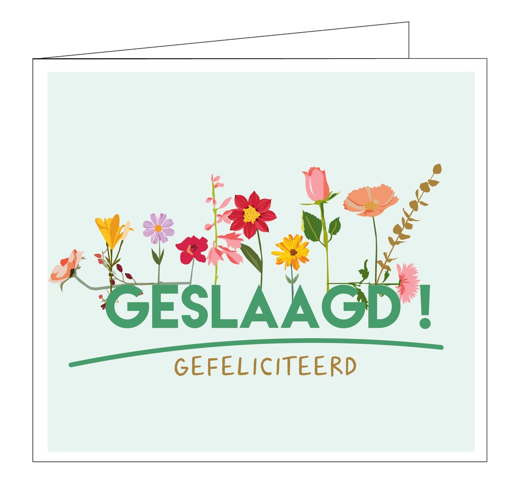 Geslaagd ! Gefeliciteerd