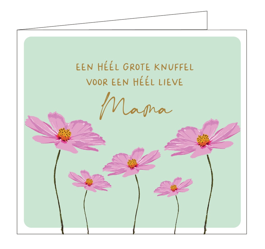 Een héél grote knuffel voor een héél lieve mama