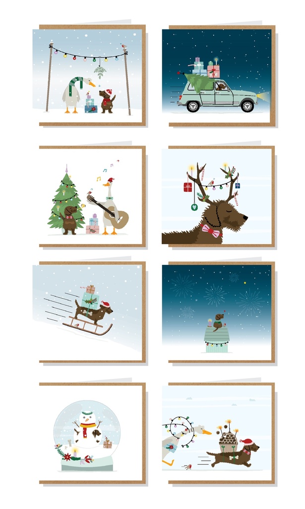 Frits box 8 stuks/8 designs