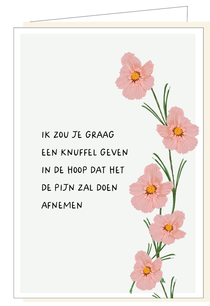 Ik zou je graag een knuffel geven ...