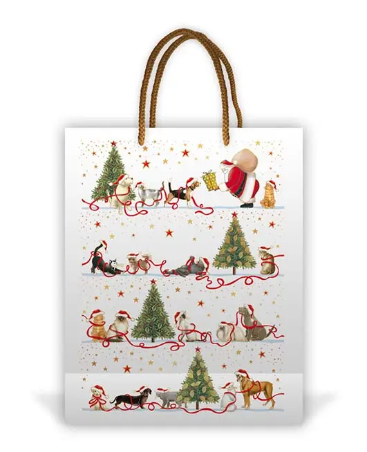 luxezakje kerst quire medium   