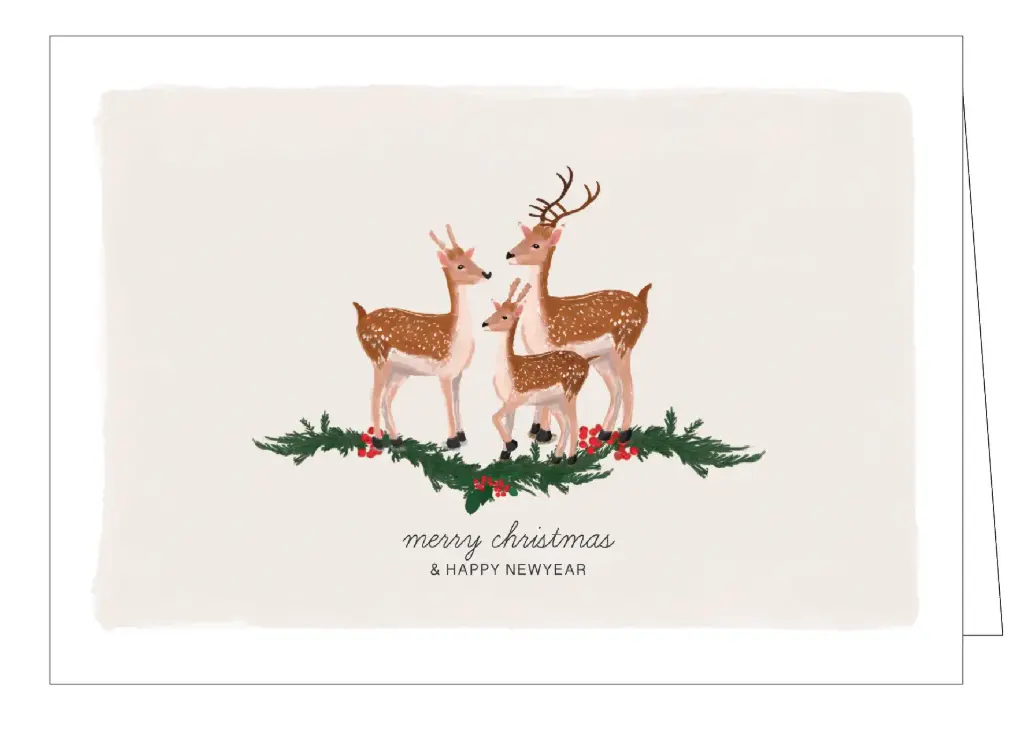 Merry Christmas and Happy New Year