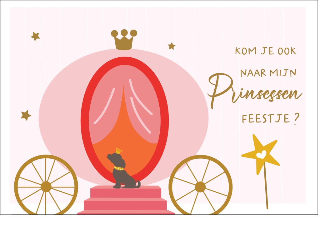 Kom je ook naar mijn prinsessenfeestje?