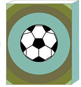 voetbal