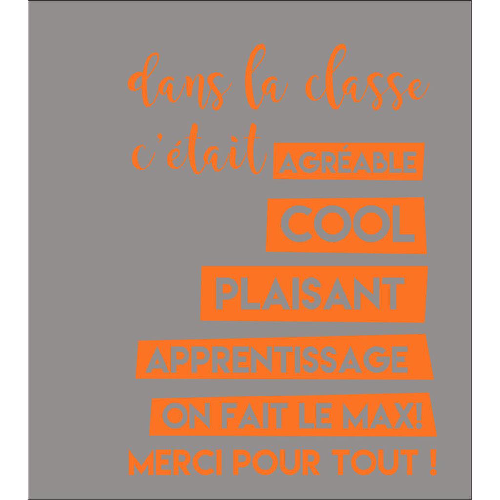 dans la classe c'était agréable .....