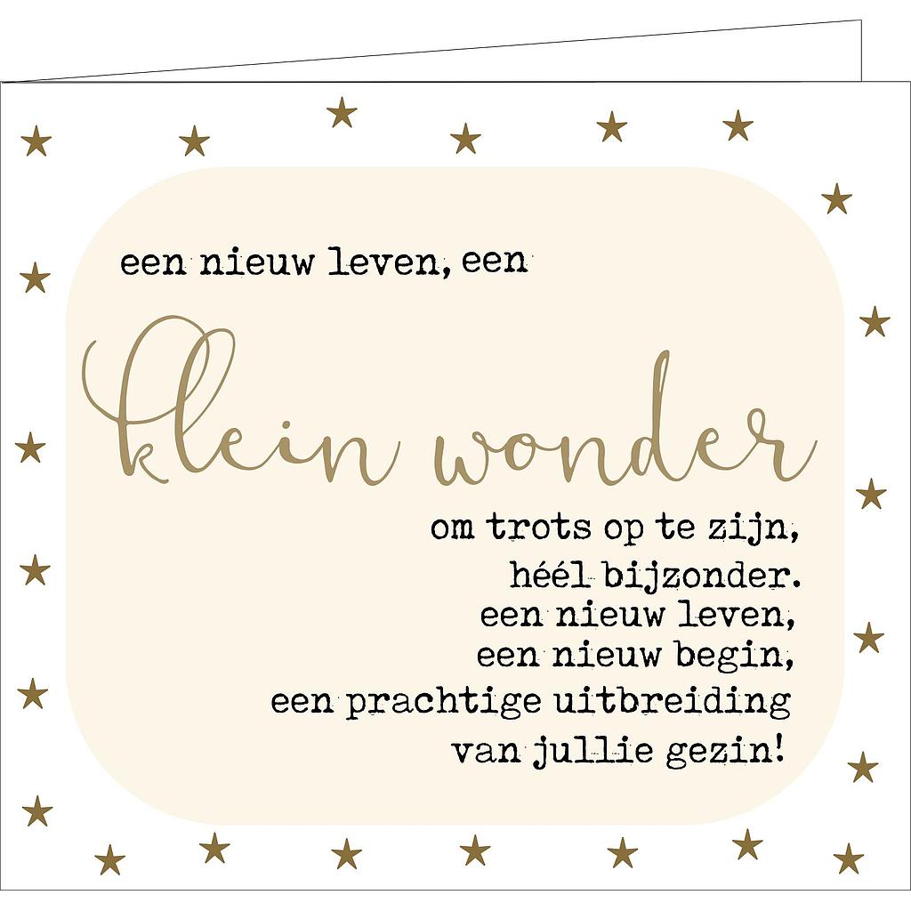 klein wonder