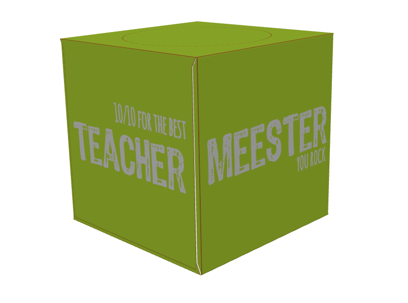 meester/maître/teacher 