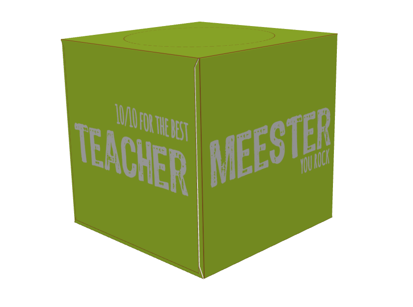 meester/maître/teacher