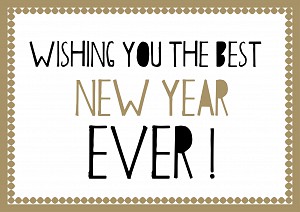 wishing you the best new year ever !