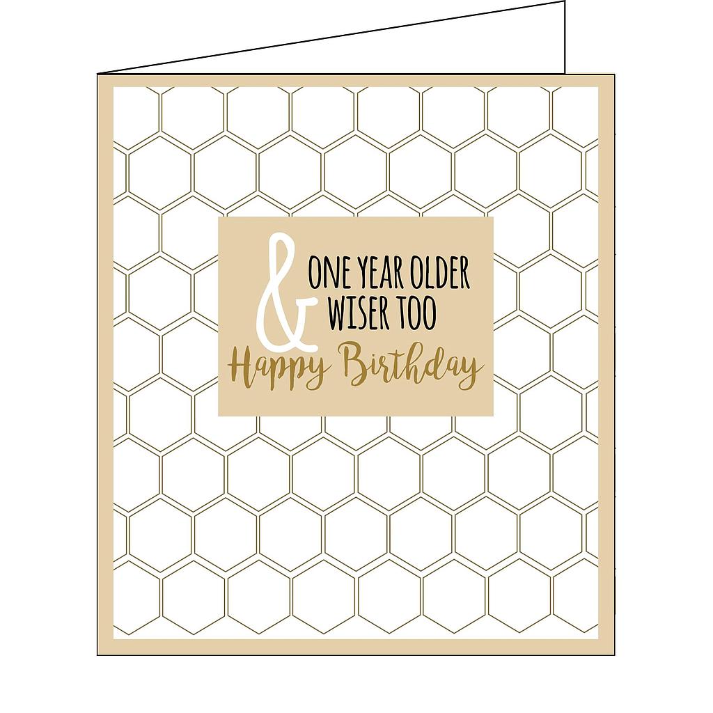 one year older & wiser too happy birthday