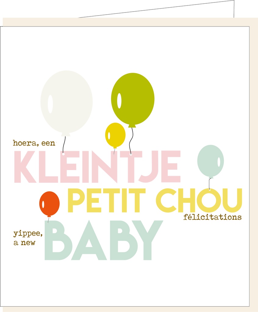 Kleintje-petit chou-baby