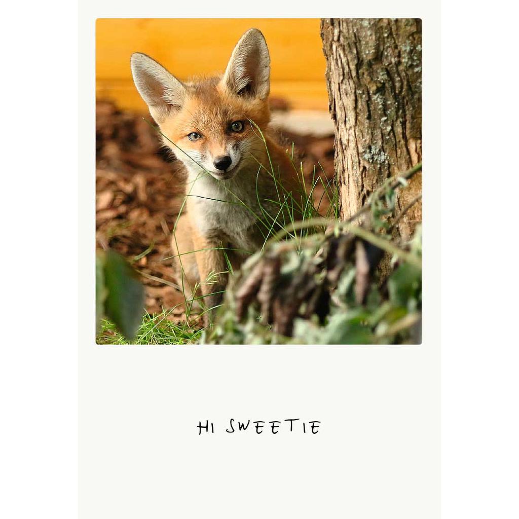 hi sweetie