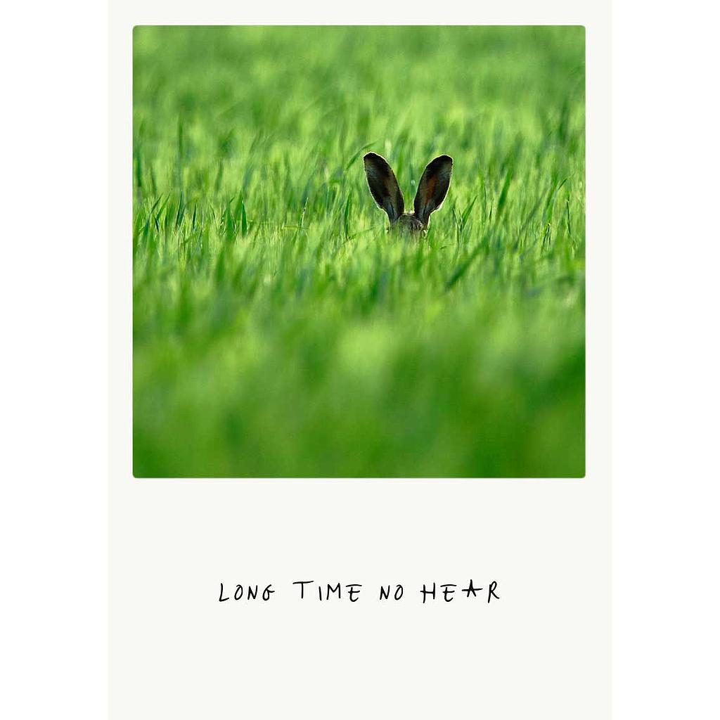 long time no hear