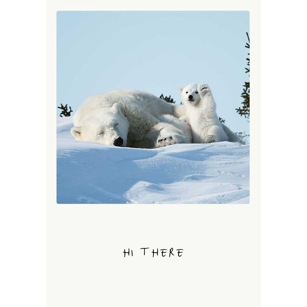 hi there