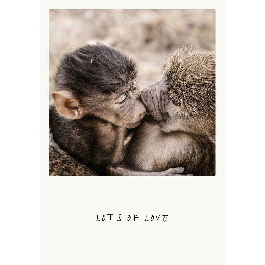 lots of love