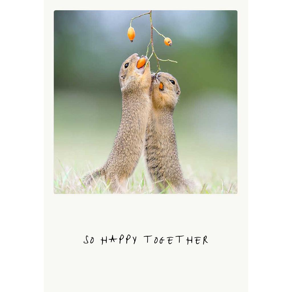 so happy together