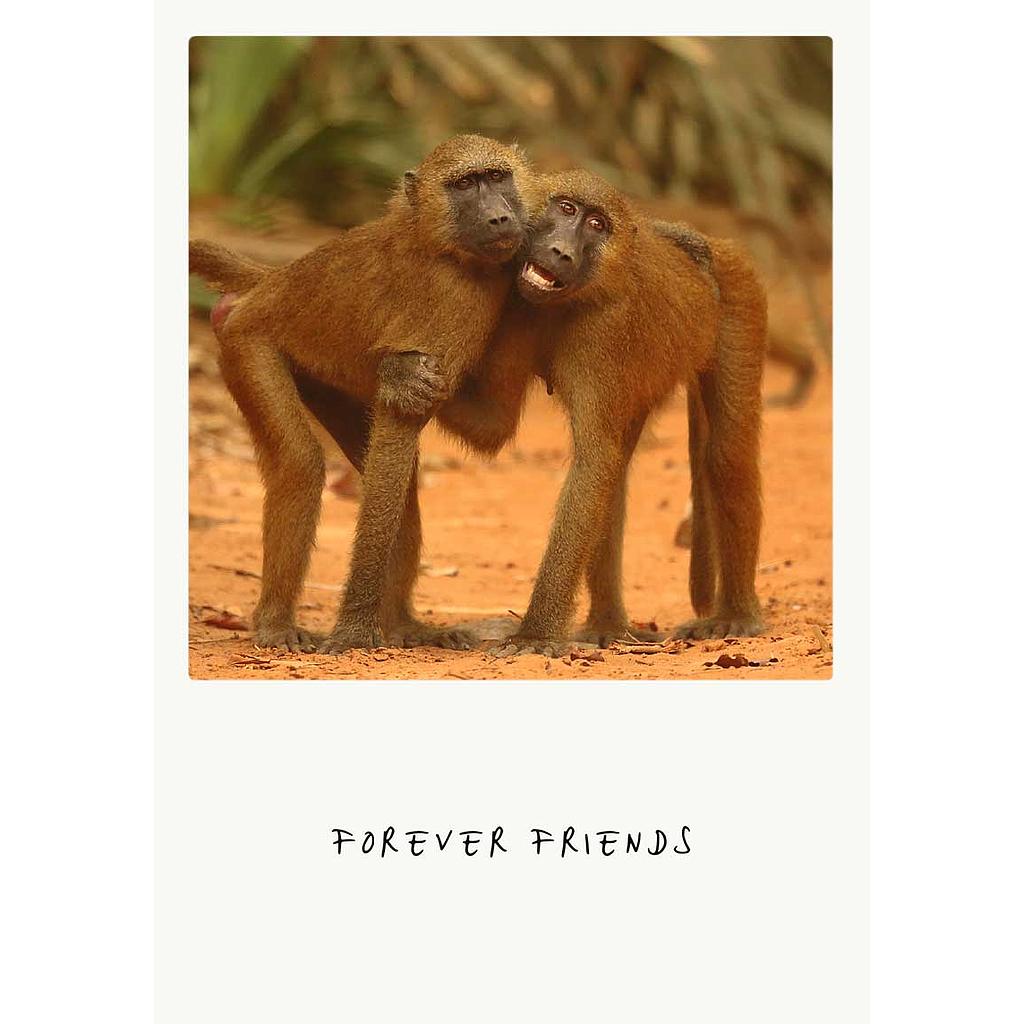 forever friends