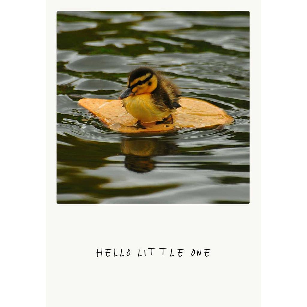 hello little one