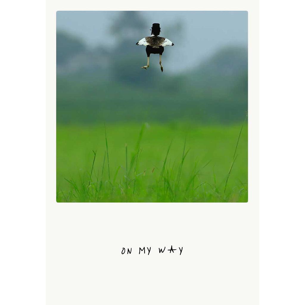 on my way