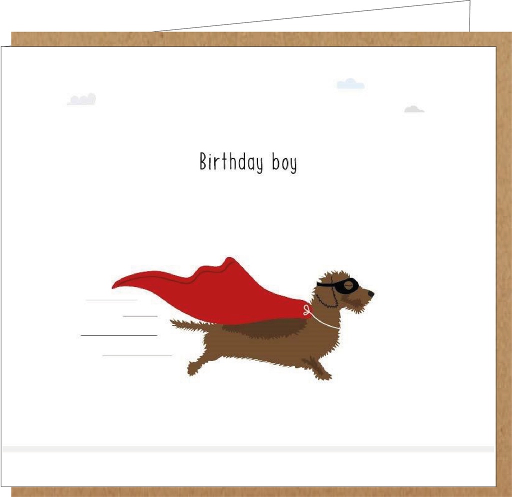 birthday boy