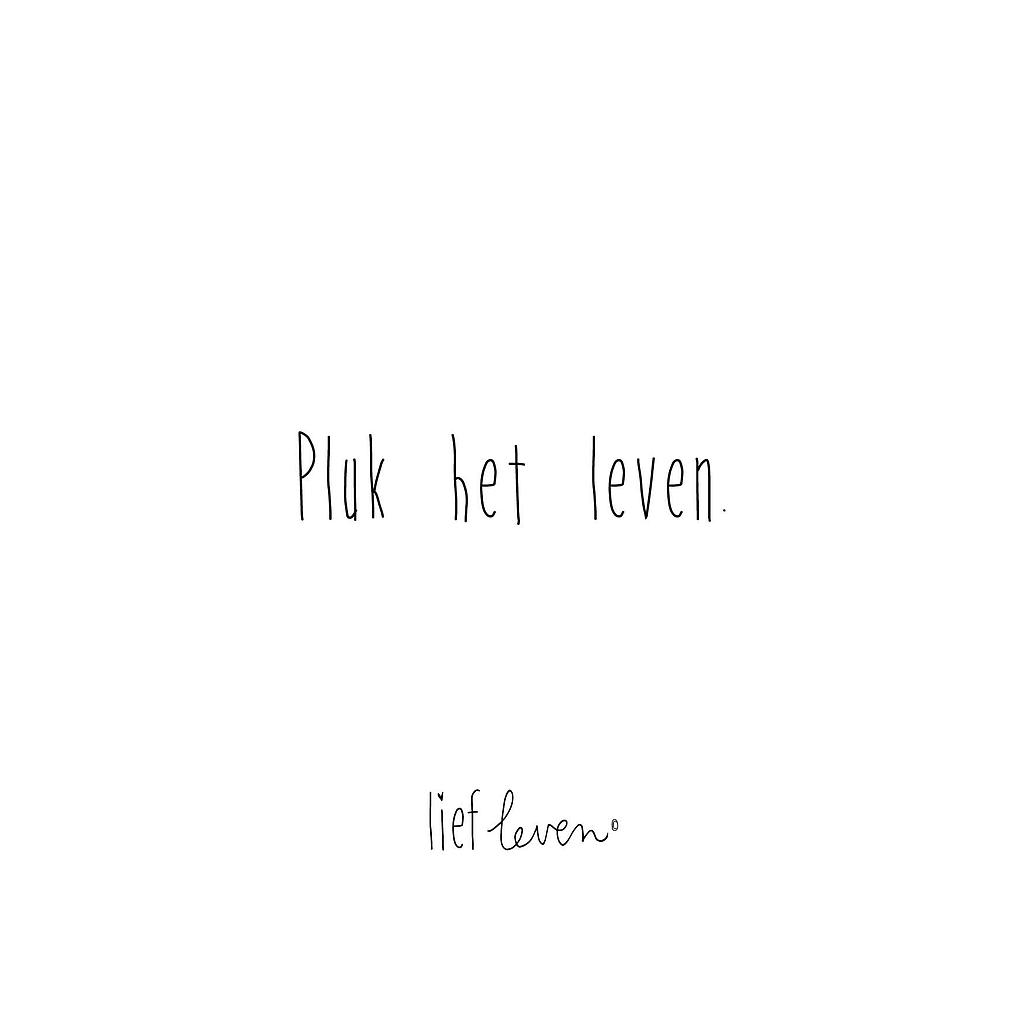 pluk het leven