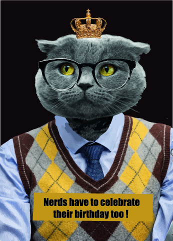 Nerds have to celebrate their birthday too !