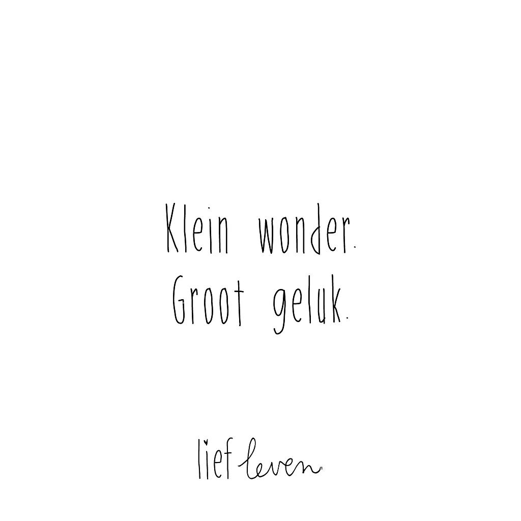 Vulling Lief Leven 36 x 6