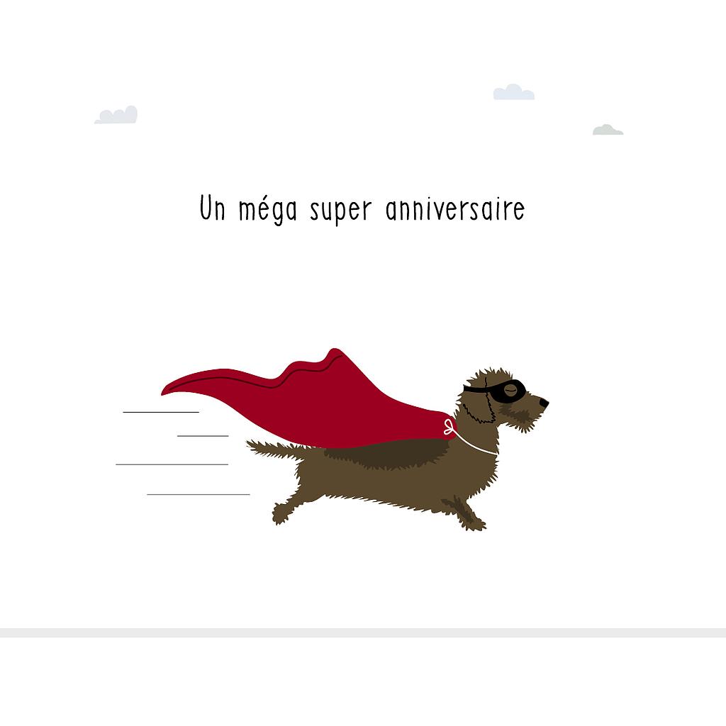 Un méga supet anniversaire