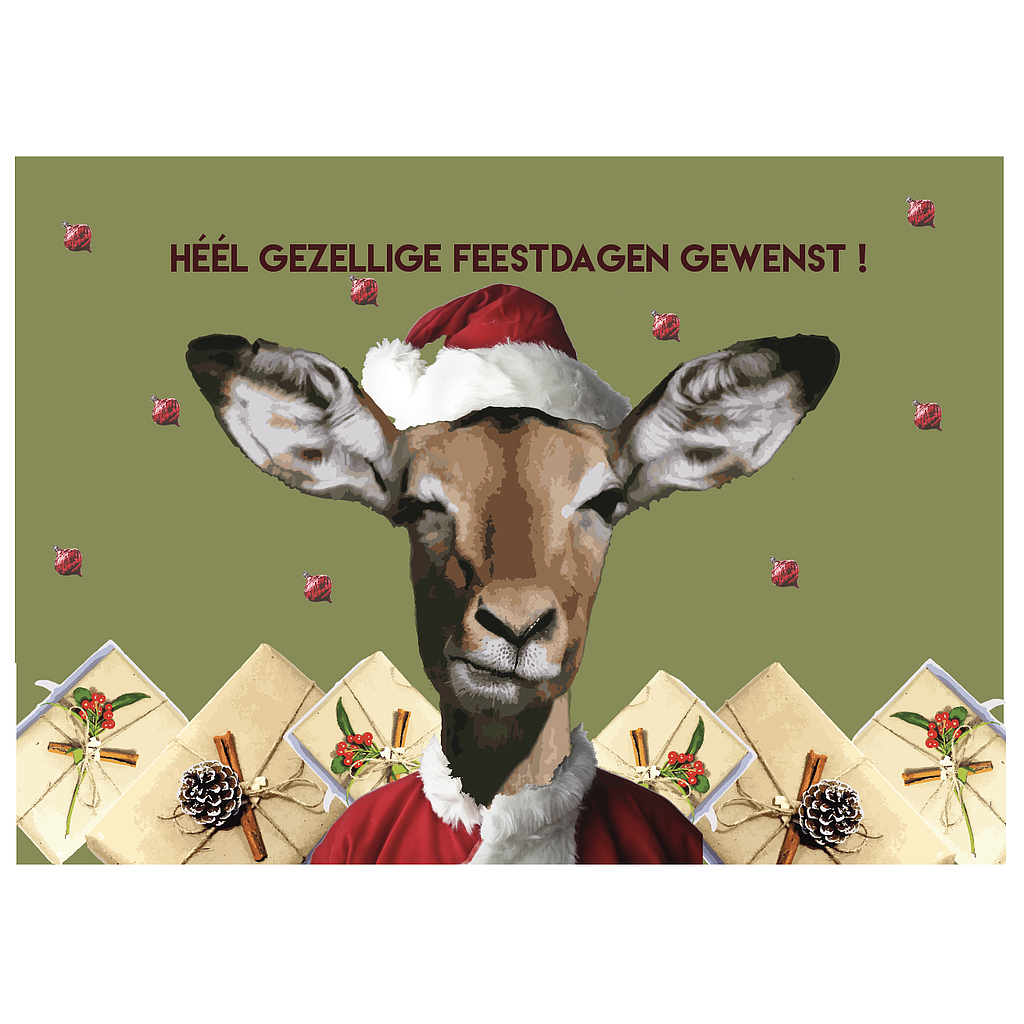 héél gezellige feestdagen gewenst !