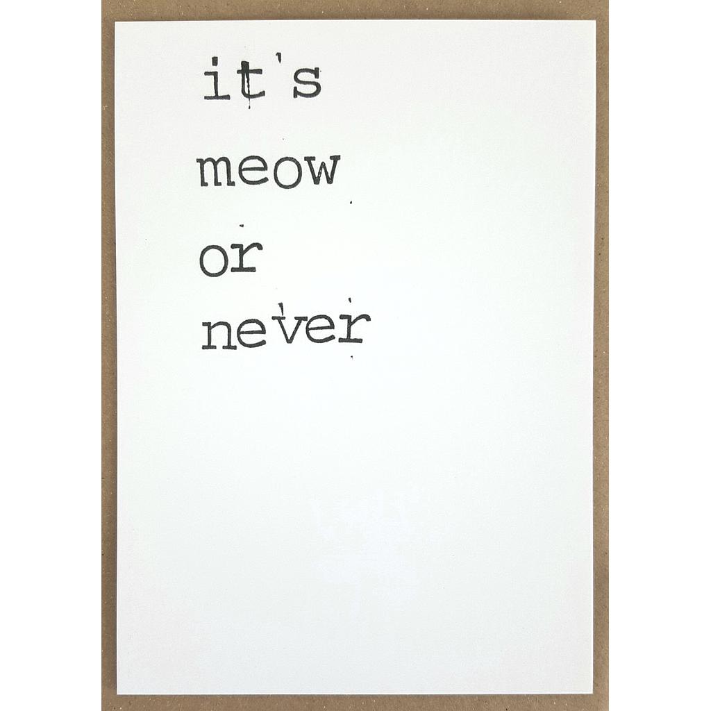 It's meow or never