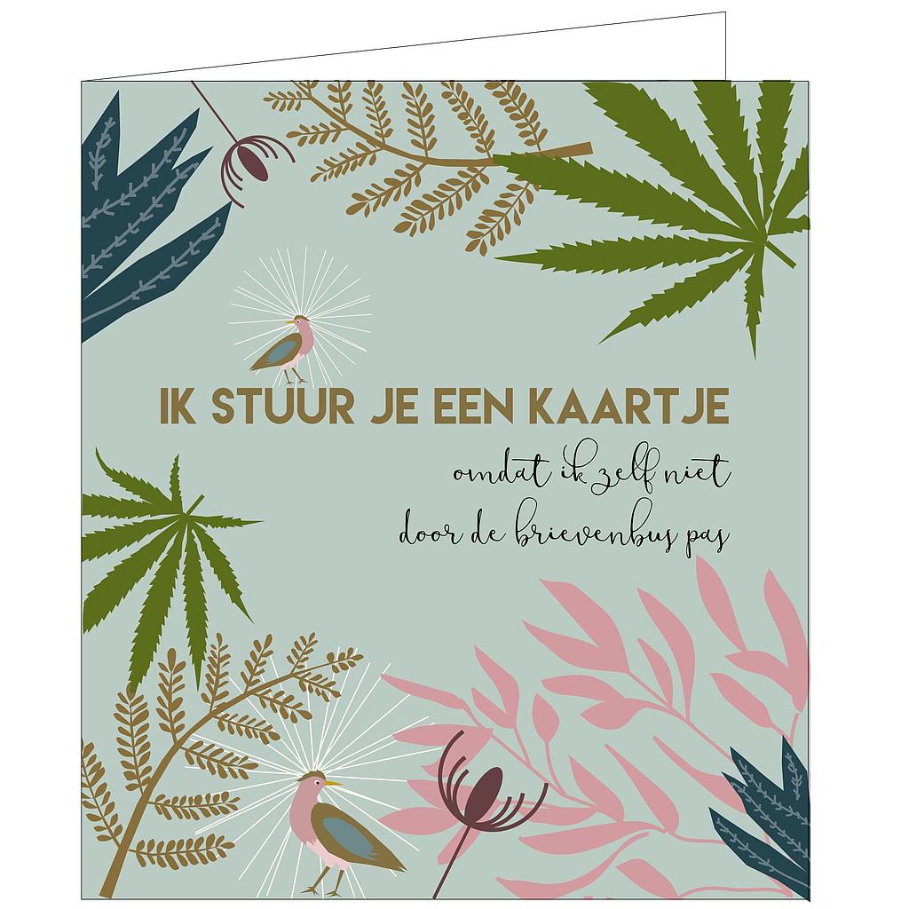 Ik stuur je een kaartje omdat ik zelf niet...