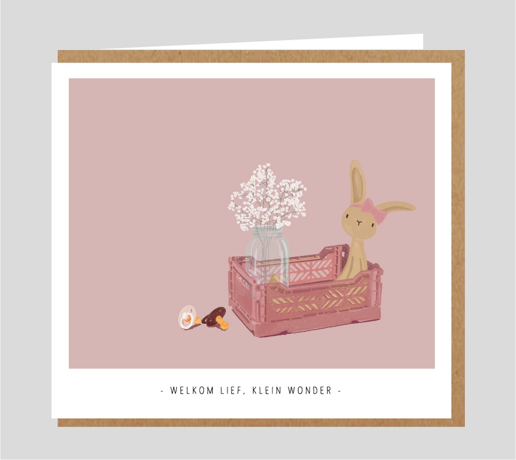 Welkom, lief klein wonder