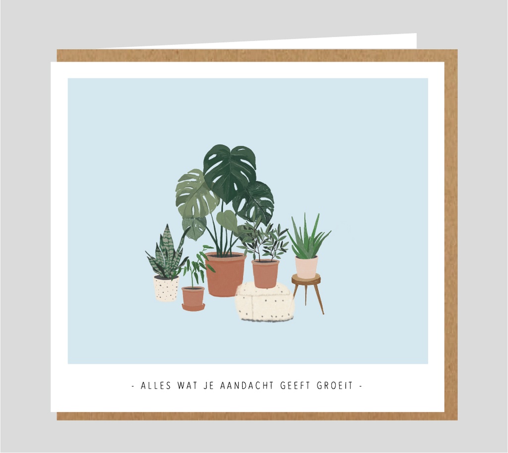 Alles wat je aandacht geeft, groeit