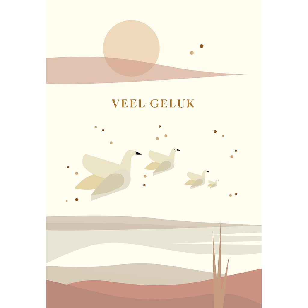 veel geluk