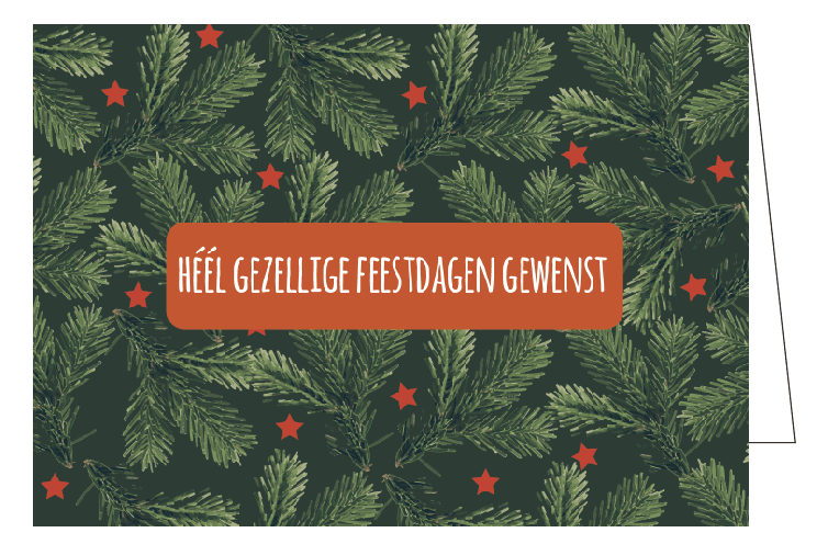 héél gezellige feestdagen gewenst