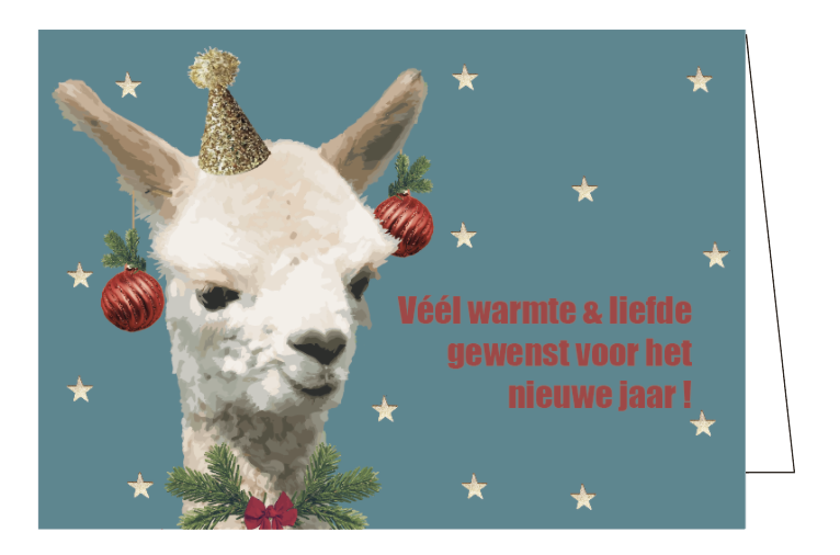 Véél warmte &amp; liefde gewenst voor het nieuwe jaar !