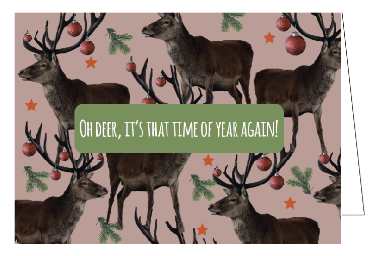 oh deer, it's that time of year again !