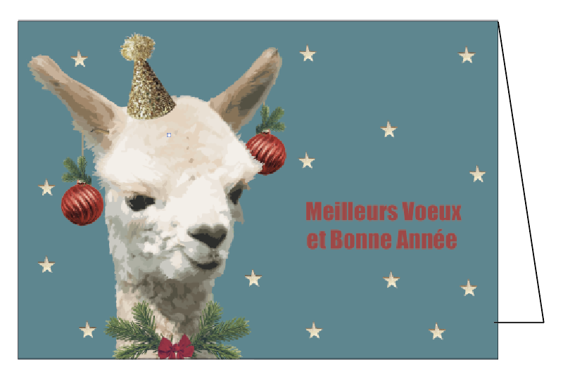 Meilleurs voeux et bonne année