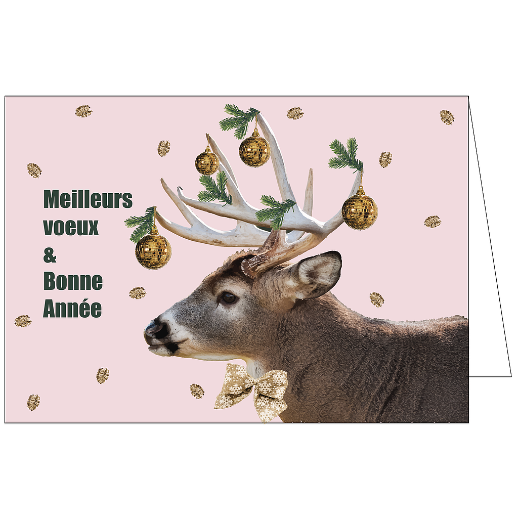 Meilleurs voeux et Bonne Année 