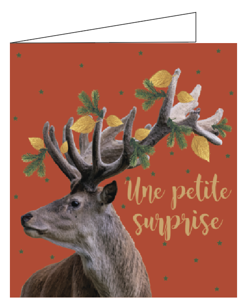 Une petite surprise