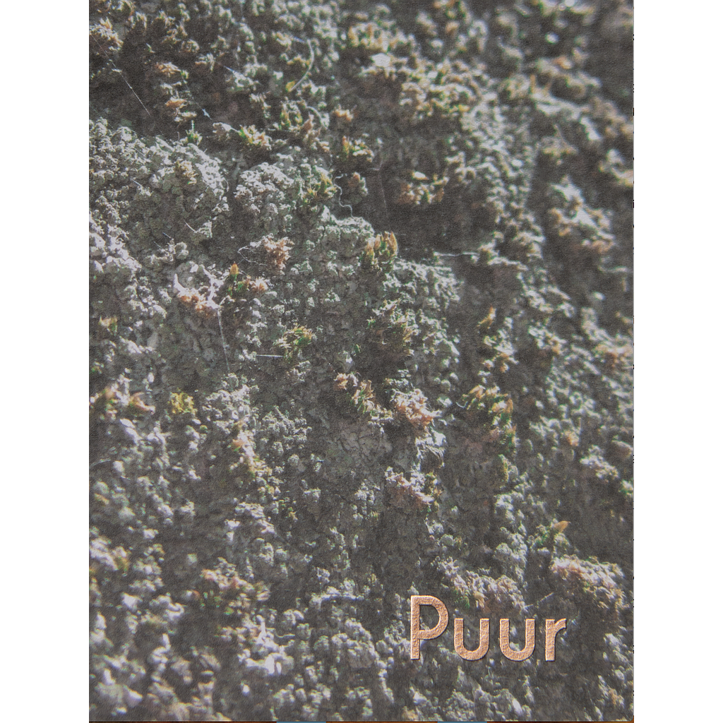 Puur