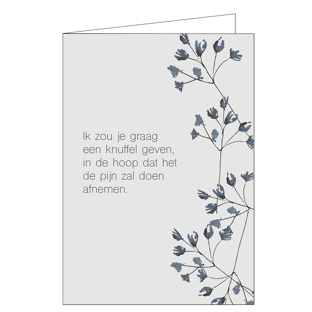 Ik zou je graag een knuffel geven...