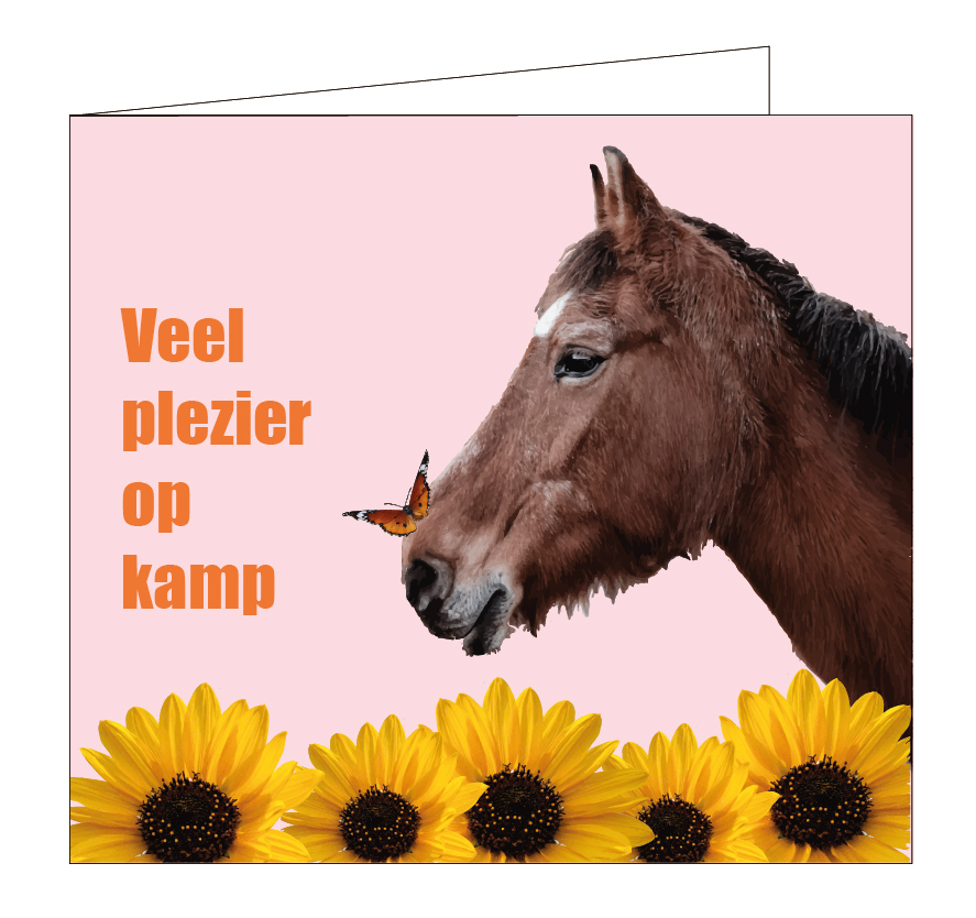 Veel plezier op kamp!